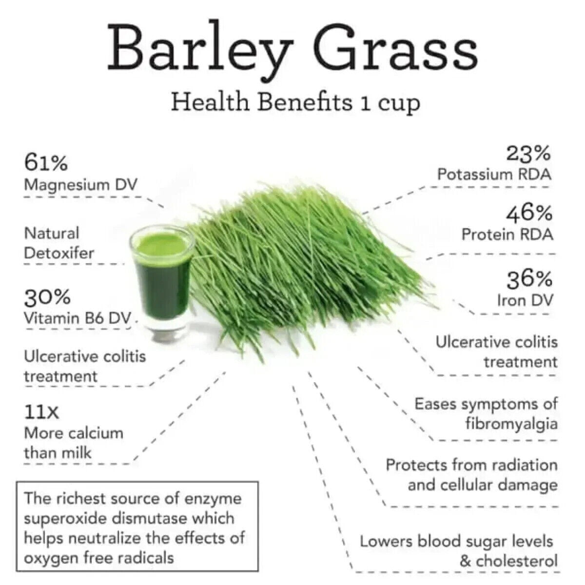 1/2/3 BOX 100% Pure & Organic 3g*20PCS Navitas Barley Grass Powder
