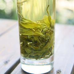 HelloYoung Yunnan Top Big Leave Roasted Green Tea Herb Natural Authentic BiluochunTea 500g