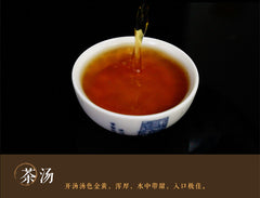 HelloYoung100g Premium Puerh Tea Ripe Pu-erh Tea old Chinese Mini Yunnan Tuocha tea