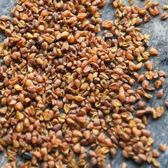 HelloYoung Pure Natural Black Bitter Tea Bitter Buckwheat Whole Germ Herbal Tea Green Food
