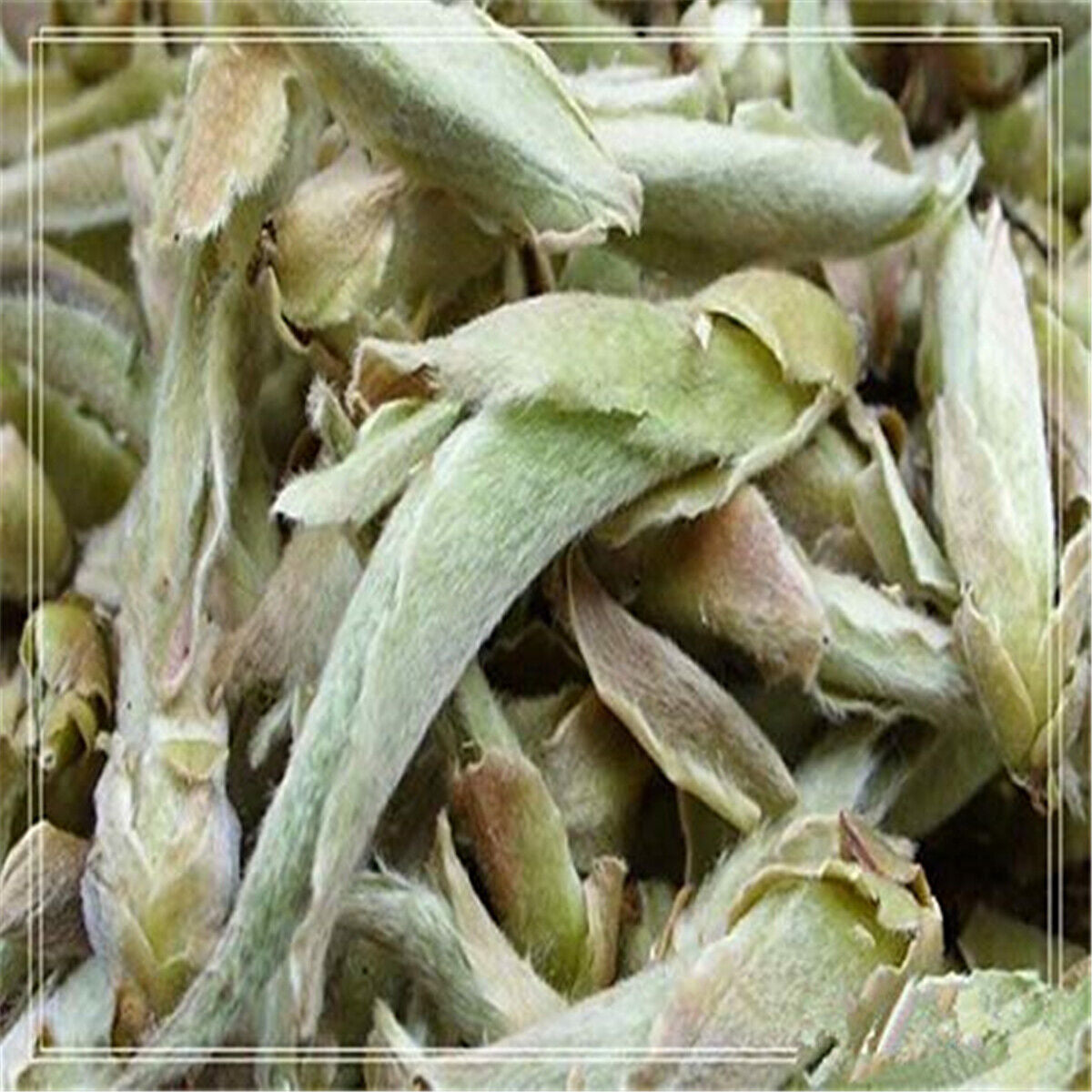 HelloYoung Anti-age Special Organic Loose White Tea Puerh Tree Buds Wild Cha Puer Tea 100g