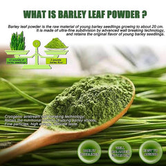 HelloYoung Barley Grass Powder Original 100% healthy Pure Organic Barley Low Carb Diabetic Friendly e for weight loss