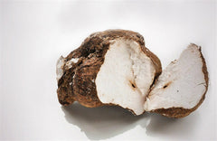 HelloYoungPure Nature Organic Traditional Herbs Poria Cocos Fuling Tuckahoe ExtractPowder