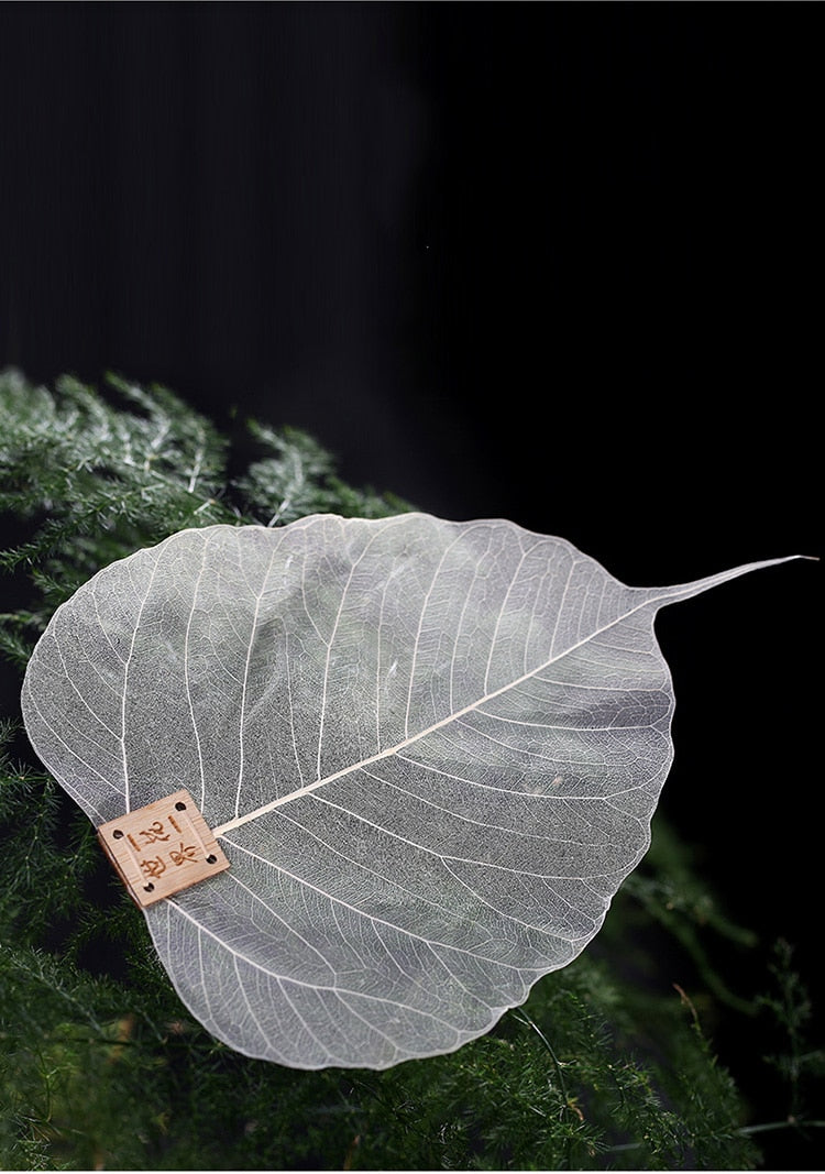 1pcs Pure Bodhi Leaf Tea Filter Creative Personality Bookmarks Adornment Metope Hollow Out The Leaves Personality Filter Q $