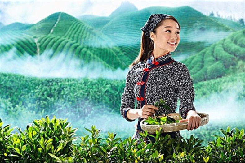 HelloYoung 100g Japanese Matcha Green Tea Powder 100% Natural Organic Slimming Tea Powder tea