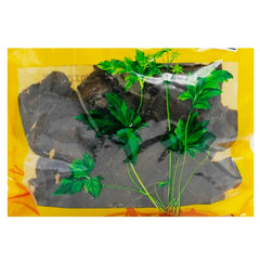 Wawasan Pharmaceuticals Chinese Herbal Drinks Prepared He Shou Wu Steamed Black Bean Juice Chinese Herbal Medicine Chinese Herbal Shop Directory瓦屋山药业中药饮片 制何首乌 黑豆汁蒸 中药材 中药材店铺大全