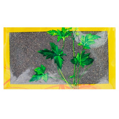 Wawasan Pharmaceuticals Herbal Drinks Salt Plantain Seeds Salt Roasted Chinese Herbal Remedies Chinese Herbal Medicine Shop瓦屋山药业中药饮片 盐车前子 盐炙 中药材抓配 中药材店铺大全