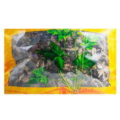Wawashan Pharmaceuticals Chinese Herbal Drinks Shengma Tablet Chinese Herbal Medicine Shop瓦屋山药业中药饮片 升麻 片 中药材抓配 中药材店铺大全