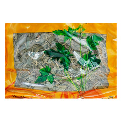 Wawasan Pharmaceuticals Chinese Medicine Drinks He Shouwu Block Chinese Herbal Remedies Chinese Herbal Medicine Shop瓦屋山药业中药饮片 淡竹叶 段 中药材抓配 中药材店铺大全