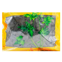 Wawasan Herb Pharmaceuticals Chinese Herbal Drinks Bittersweet Tea Pure Chinese Herbal Remedies Chinese Herbal Medicine Shop 瓦屋山药业中药饮片 苦丁茶 净制 中药材抓配 中药材店铺大全