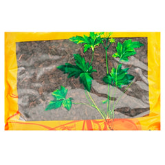 Wawasan Pharmaceuticals Chinese Herbal Drinks Charcoal of Cynoglossum Grandiflorum Fried Charcoal Chinese Herbal Medicine Grab & Go Chinese Herbal Medicine Store瓦屋山药业中药饮片 大叶茜草炭 炒炭 中药材抓配 中药材店铺大全