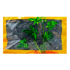Wawasan Pharmaceuticals Chinese Herbal Drinks Kombu Silk Chinese Herbal Remedy Chinese Herbal Shop瓦屋山药业中药饮片 昆布 丝 中药材抓配 中药材店铺大全