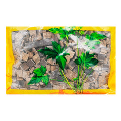 Wawasan Pharmaceuticals Chinese Medicine Drinks Cortex Eucommia Dulcis Block First Class Chinese Herbal Remedies Chinese Herbal Medicine Store 瓦屋山药业中药饮片 杜仲 块一等 中药材抓配 中药材店铺大全