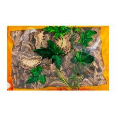 Wawashan Pharmaceuticals Chinese Medicine Tablets Aukland First Grade Tablets Chinese Herbal Remedies Chinese Herbal Medicine Shop瓦屋山药业中药饮片 木香 一等片 中药材抓配 中药材店铺大全