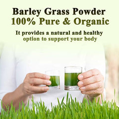 HelloYoung Barley grass official store Organic Barley Grass Powder original 250g Non-GMO, Finely Ground Whole Dried Young Leaves