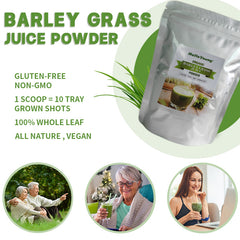 HelloYoung Pure Organic Barley Grass Original Powder Juice Drink 250g 100% Natural Superfood, Vegan, Gluten Free, Non-GMO, Kosher