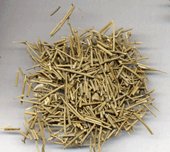 HelloYoung Somlata 250g | Soma | Ephedra Gerardiana | Khanta