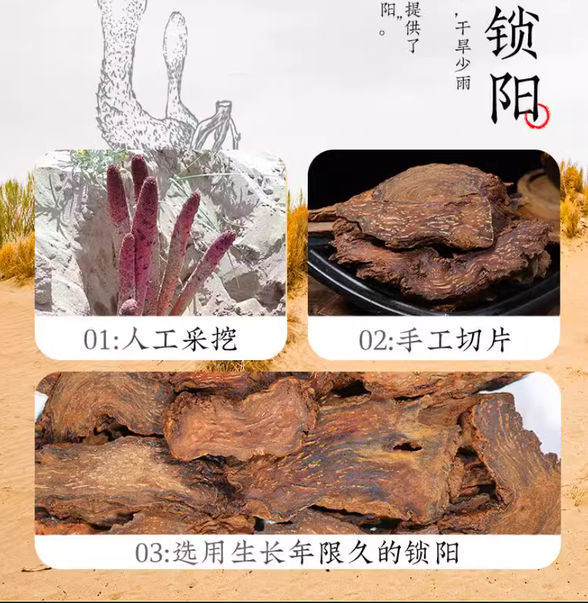 HelloYoung Slices Suoyang Cynomorium Songaricum Slice Organic Chinese Healthy Herbal 250g