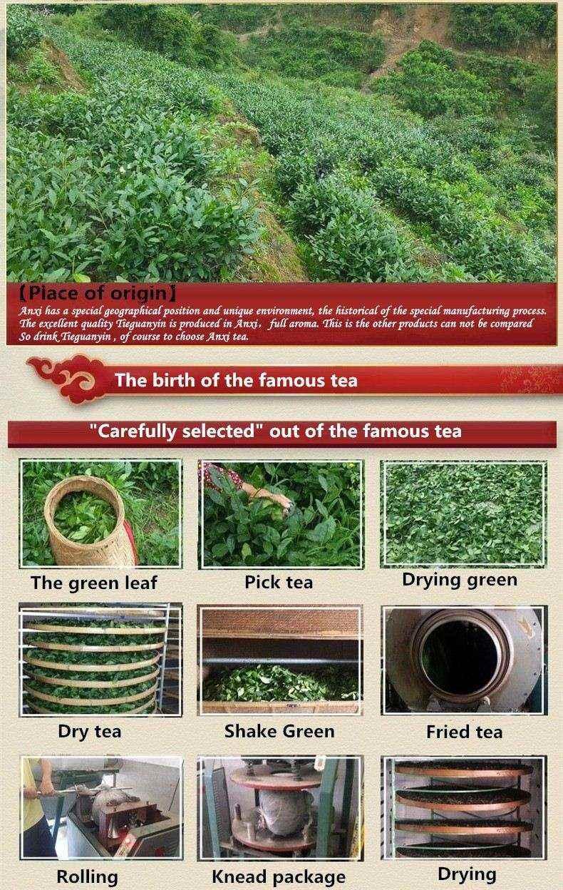 HelloYoung10 bags Iron Cans Gift Packing TiKuanYin Green Tea Tie Guan Yin Tea ANXI Oolong Tea