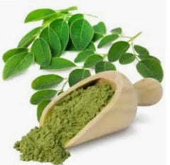 MORINGA OLEIFERA Leaf Powder - 500g - Premium Quality - 100% Certified Organic