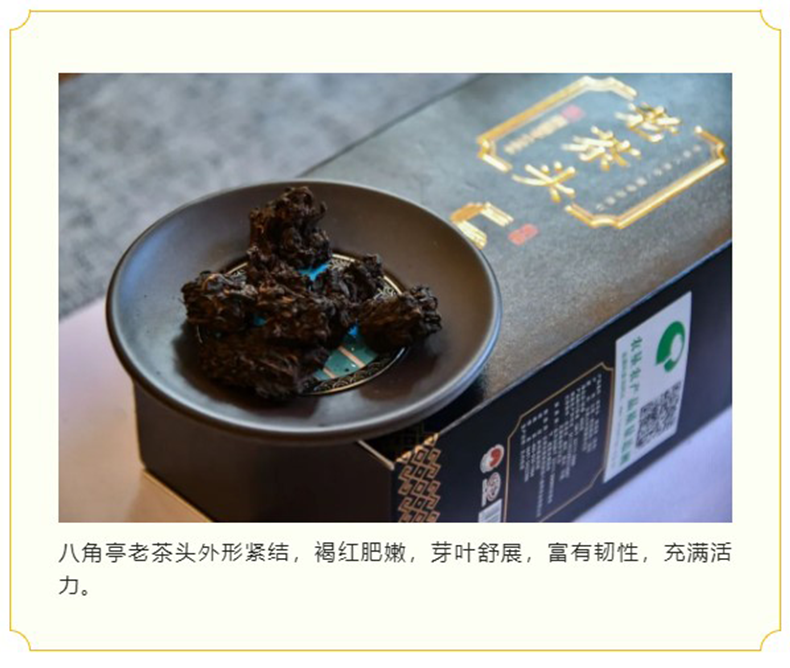 HelloYoung LAO CHA TOU * Ba Jiao Ting Pu-erh Pu'er 5 Years Aged Puer Tea 400g Ripe Cha