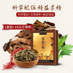 HelloYoung 10 Packs of Powerful Gynecological Ointment Gongshu Patch Natural Herbal Cure