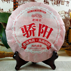 HelloYoung "Jiao Yang" Haiwan Old Comrade Blazing Sun Ripe Puerh Shu Puer Tea 357g