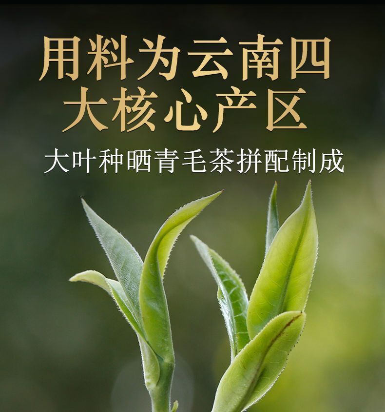 Pu-erh Tea Pu'er Ripe Puer Tea Boxed 100g DALI Tuocha Yunnan Xiaguan Shu