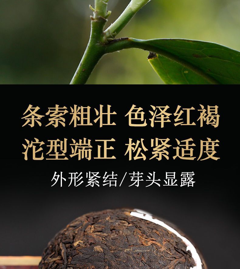 Pu-erh Tea Pu'er Ripe Puer Tea Boxed 100g DALI Tuocha Yunnan Xiaguan Shu