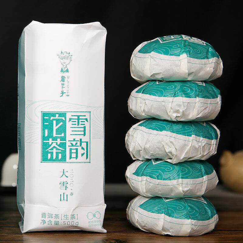 HelloYoung Lincang Big Snow Mountain * DR. PU'ER TEA Xueyun Tuocha Puer Raw Tea 500g