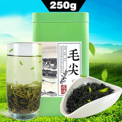 HelloYoung Xinyang Maojian Tea Gift Packing High Quality Mao Jian Fresh Green Tea 250g