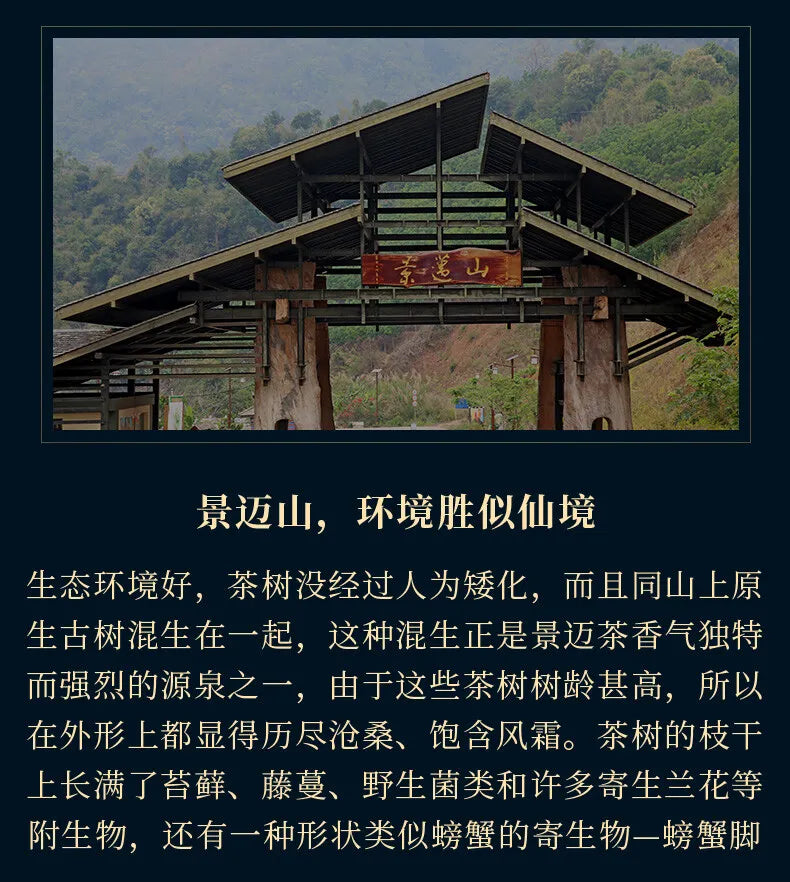 新益号 特沱500g Pu'er tea Chinese new raw tea natural health beauty普洱茶 生茶 沱茶 生普 茶叶 新茶