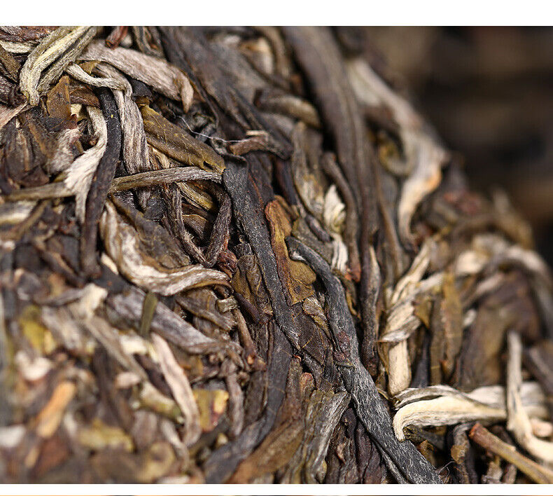 HelloYoung Haiwan Zhang Jia San Dui Puer Raw Tea Bulang Famous Mountain Aged Tree 500g