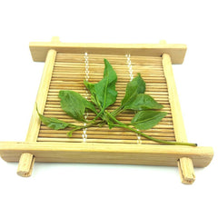 HelloYoung Herbal Tea Preventing Obesity and Asthma Delaying Aging Big Leaf Kuding Tea