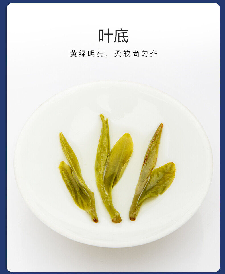 HelloYoung EFUTON Premium Xi Hu Dragon Well Green Tea Long Jing Tea Organic Longjing 250g