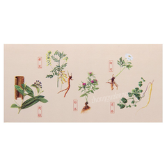 Zhongjing Shiquan Dabu Wan 仲景十全大补丸