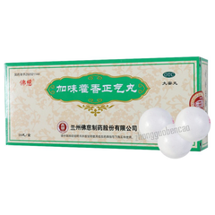 Foci Jiawei Huoxiang Zhengqi Wan 佛慈加味藿香正气丸