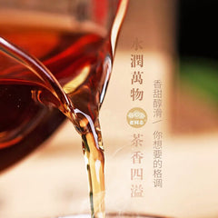HelloYoung Puerh Tea Classic Pu-erh Brick Tea Haiwan Old Comrade Puer Old Tree 250g