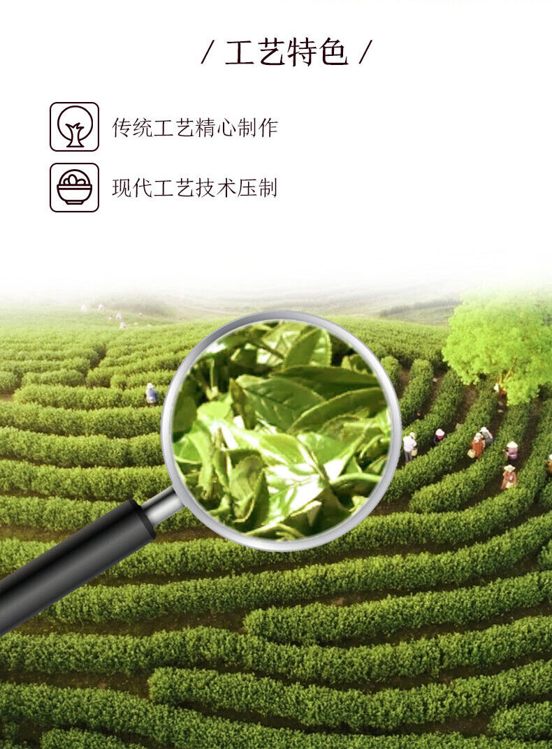HelloYoung China Tea Organic Fuding Supreme Bai Mu Dan White Peony Cake White Tea 330g