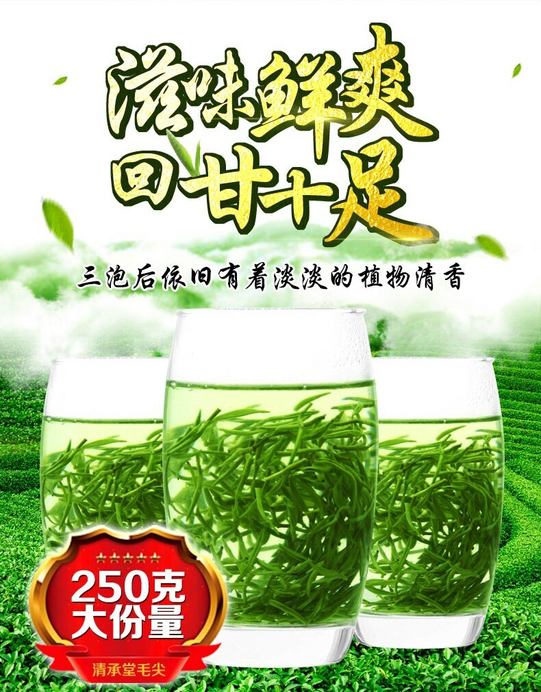 250g Xin Yang Tea  Ming Qian Premium Xinyang Maojian Tea Mao Jian Green Tea