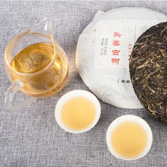 Spring Raw Puerh Tea Laobanzhang Old Tree Pu'er Shengcha Yunnan Pu-erh Tea 357g