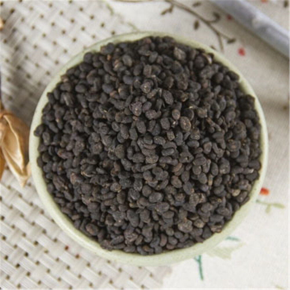 HelloYoung Natural Bu Gu Zhi Ecology Herbal Medicine Psoralea Fruit Chinese Herbal Tea 100%