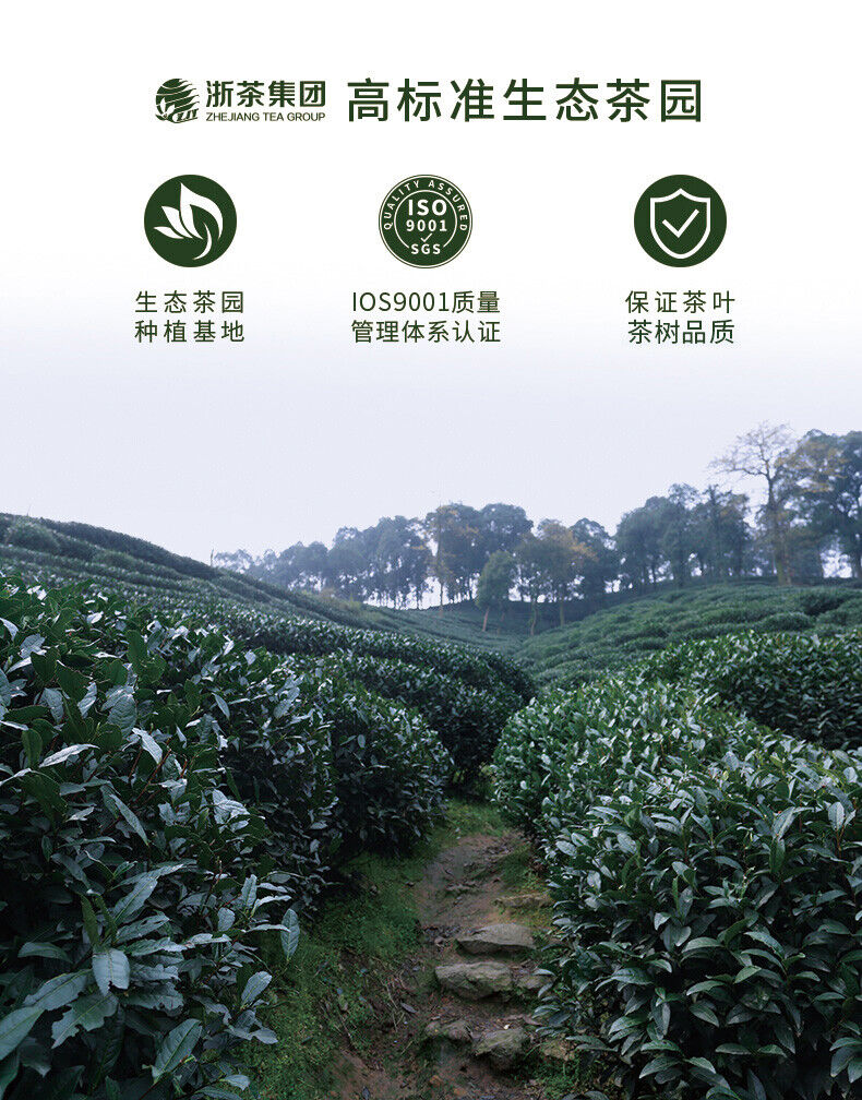 HelloYoung Shi Feng Lion Peak Brand Spring Harvest Long Jing Dragon Well Green Tea 250g