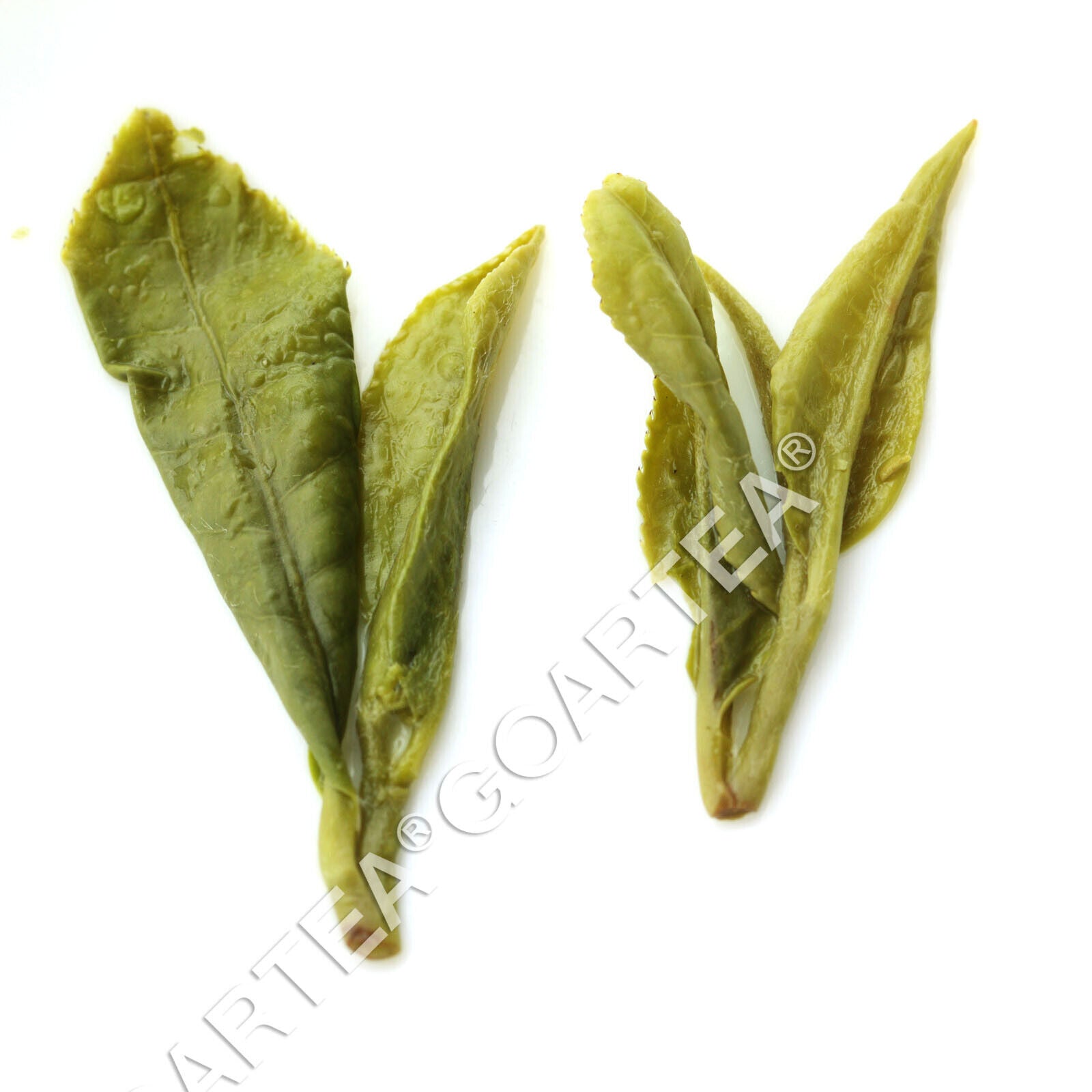 HelloYoung HELLOYOUNG Top Grade Xihu Longjing Dragon Well Chinese Green Tea Spring Leaf