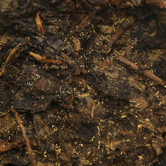 HelloYoung Hunan Anhua Black Tea Anhua Baishaxi 1953 Fucha Golden Flower Dark Tea 338g