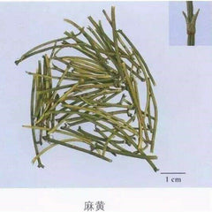 HelloYoung Raw Mo & Huang Herb Tea Herbal Green Tea Natural Mu & huang Tea