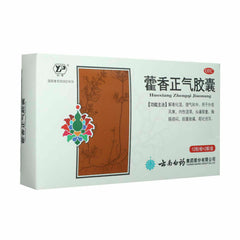 YNBY Huo Xiang Zheng Qi Capsule (24 capsules/Box) 云南白药 藿香正气胶囊