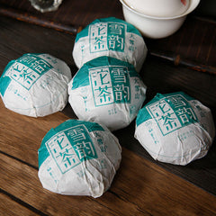 HelloYoung Lincang Big Snow Mountain * DR. PU'ER TEA Xueyun Tuocha Puer Raw Tea 500g