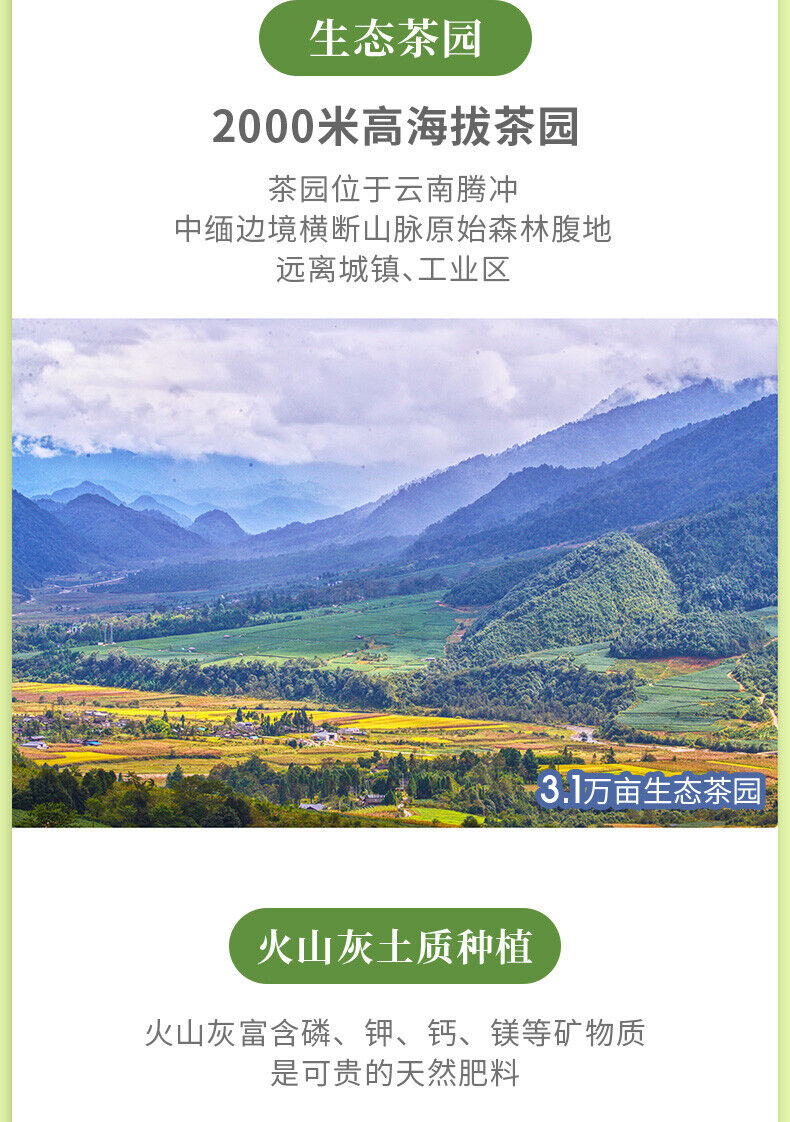 JiBian Yunnan TENG CHONG Oolong Tea High Mountain Tea Jade Delicate Aroma 150g