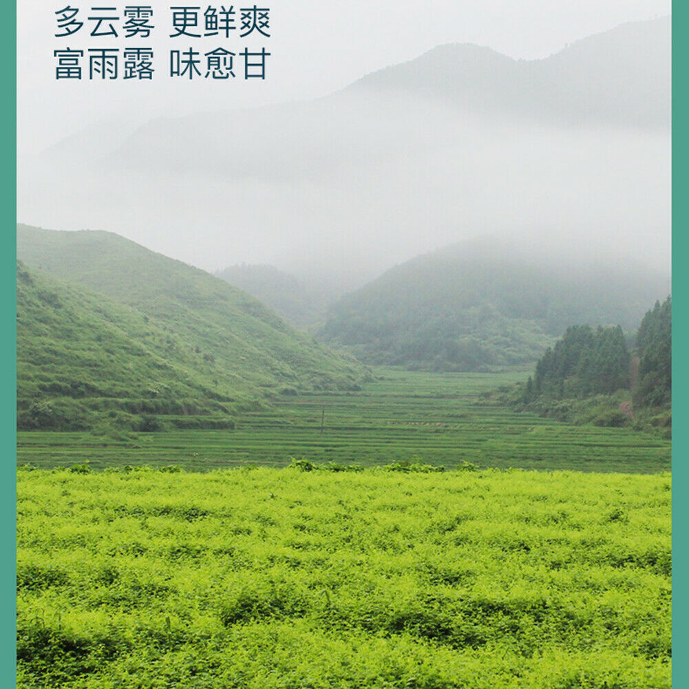 Yi Fu Tang Qi Ye Nen Ye Jiao Gu Lan Cha Jiaogulancha艺福堂七叶嫩叶绞股蓝茶降三高 延缓衰老